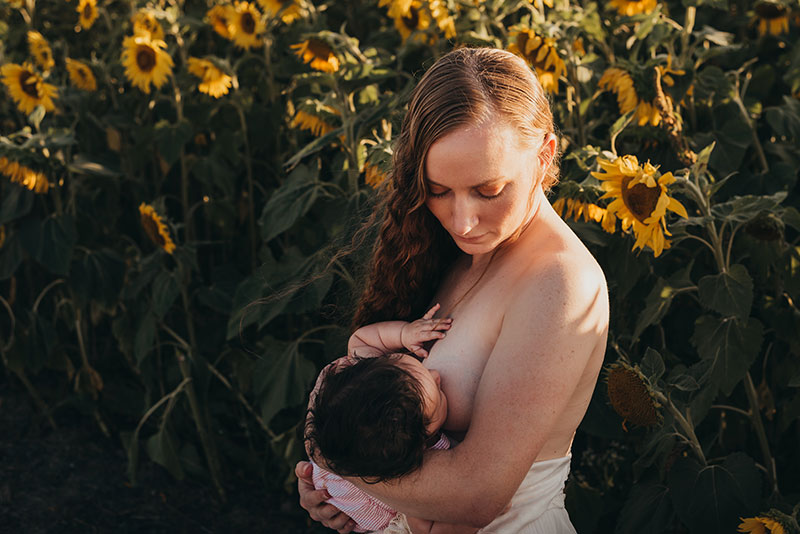 Breastfeeding photo session in the sunflowers in Portland, Oregon by Natalie Broders: Birth Photographer