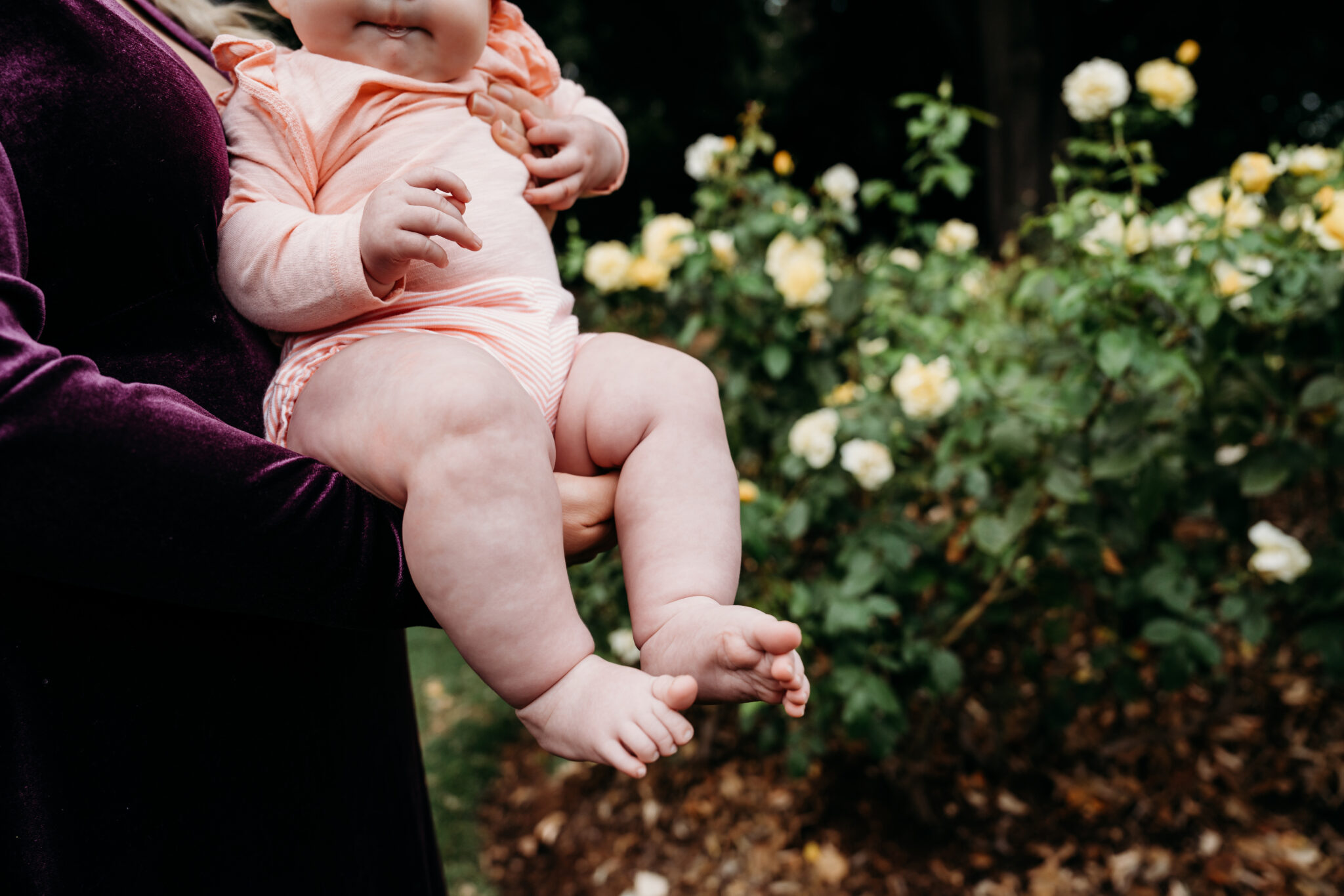 Outdoor Photo Locations Around Portland, Oregon - Portland Birth Doula ...