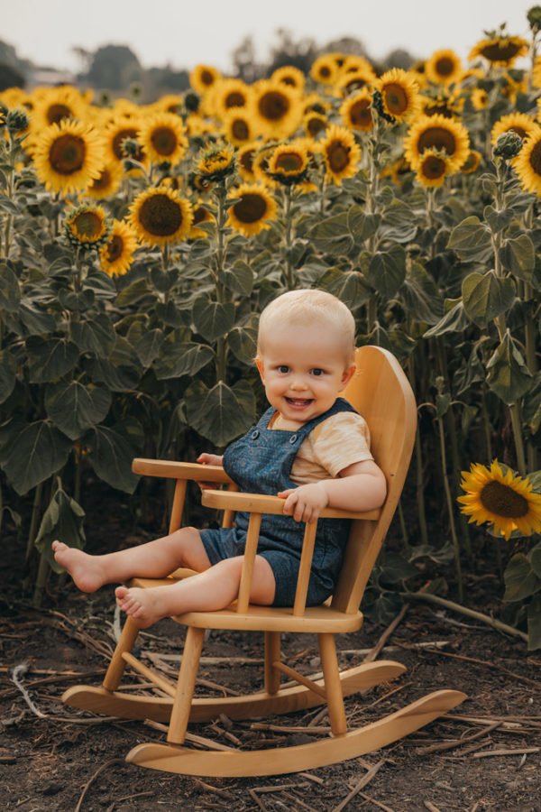 Sunflower Photos - Limited Edition Family Sessions