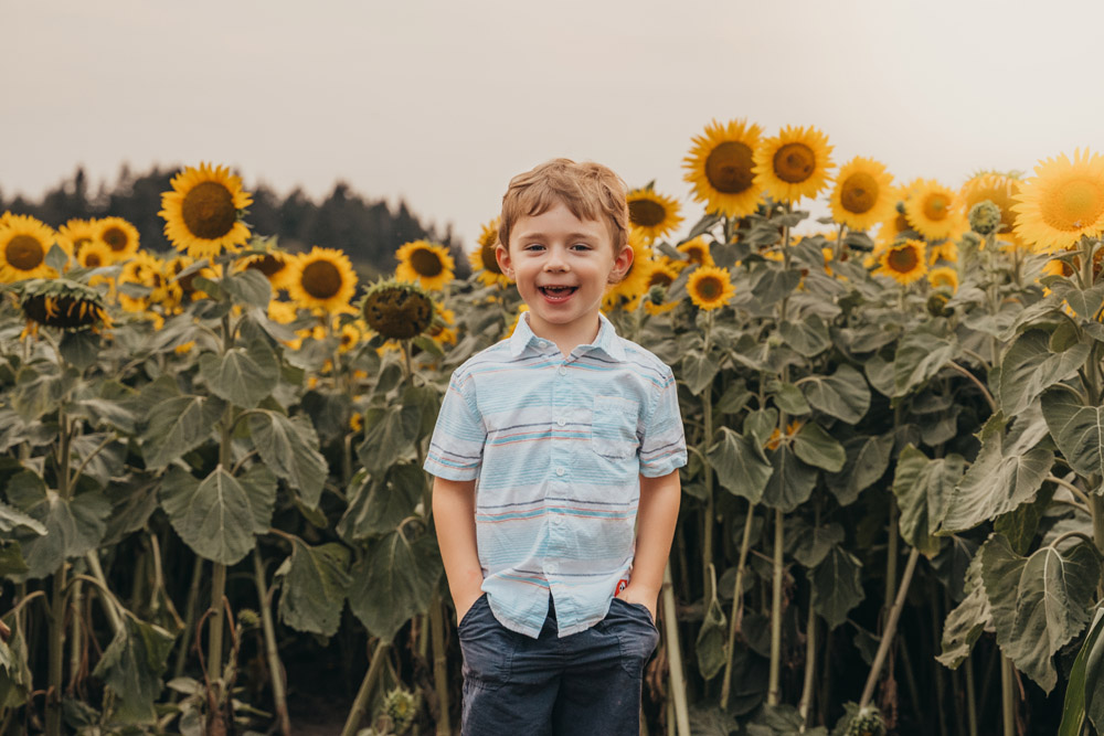 sunflower field family photos