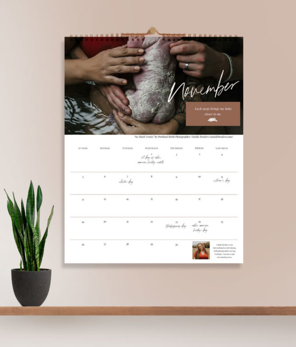 Midwife Gift, 2023 Birth Calendar - November