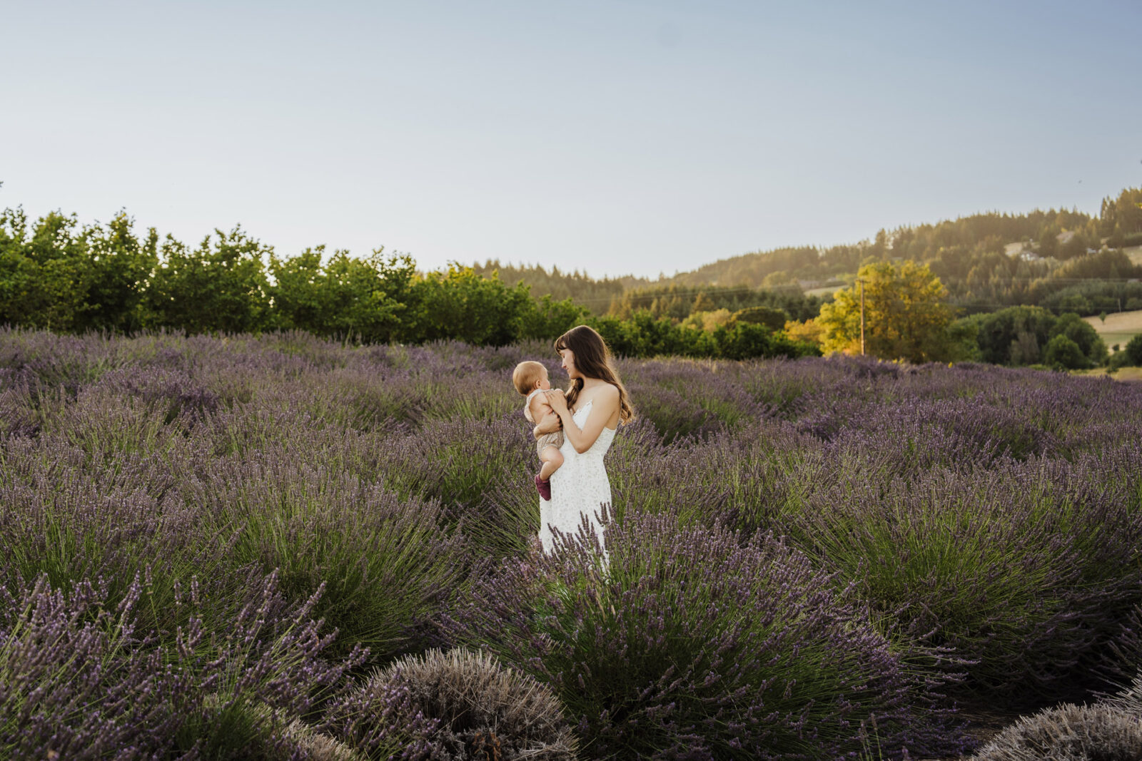 Lavender field family photography by Natalie Broders in Banks, OR - July 4 through July 21