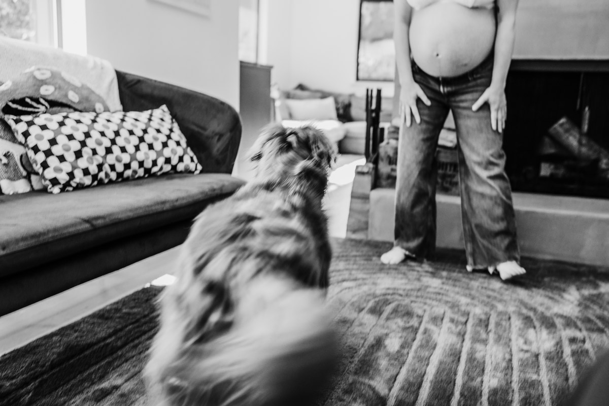 In-home Lifestyle Photo Session by Natalie Broders in Portland, Oregon